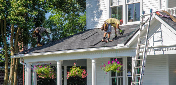 Best Roof Ventilation Installation  in Pasadena, CA